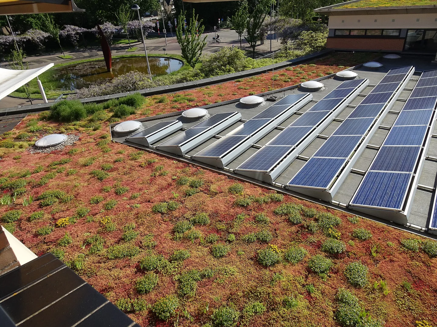 Plat dak met sedumbeplanting en rijen zonnepanelen in opstelling